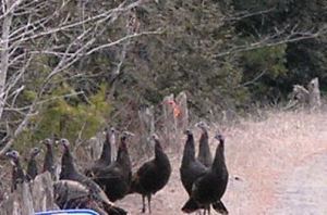 ???????????????????????????????