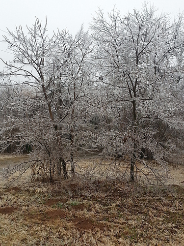 Ice storm Dec 21 2013