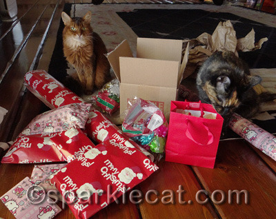 I'm not sure what Binga is doing with the bag - that has the human gifts in it!