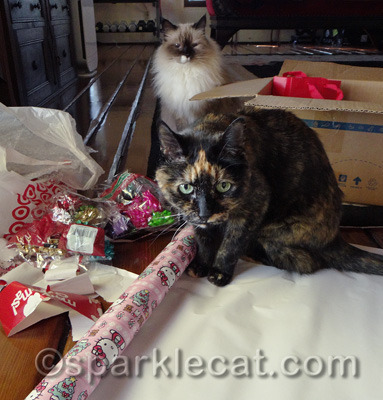 These gifts may have an extra-strong tortie scent