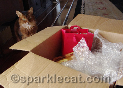 My human could NOT have done this without my help!