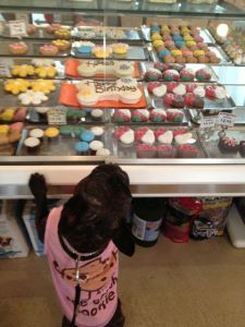 Decisions, decisions...