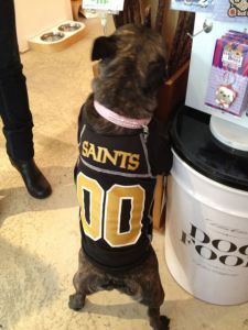 Who dat dog?