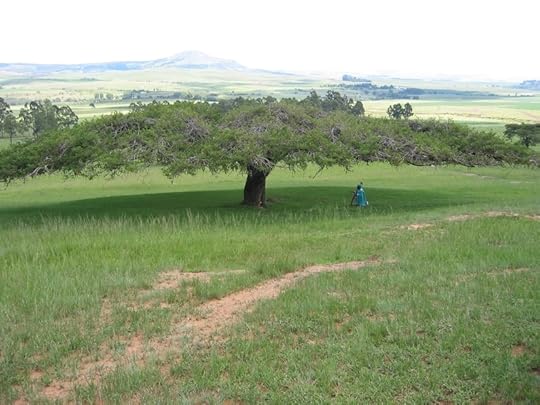 RSA Field