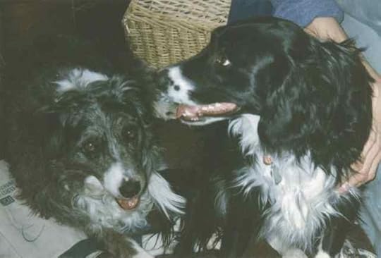 01-1996-Ariel-Heather033