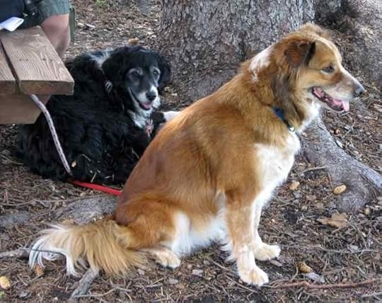 02-2008-08-20 Tussah-Ariel