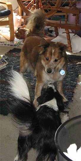 03-Tussah-Ceilidh_4935