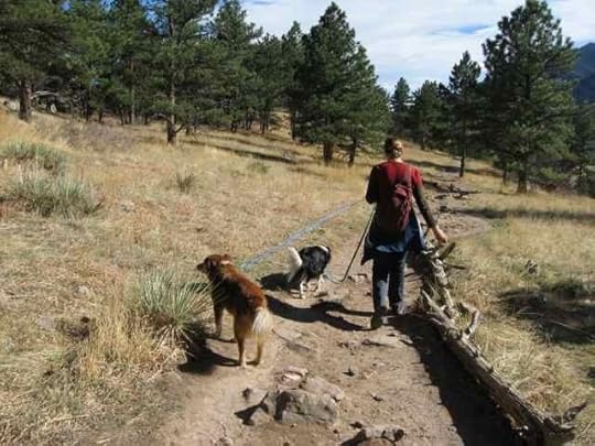 03b-Tussah-Ceilidh_5492