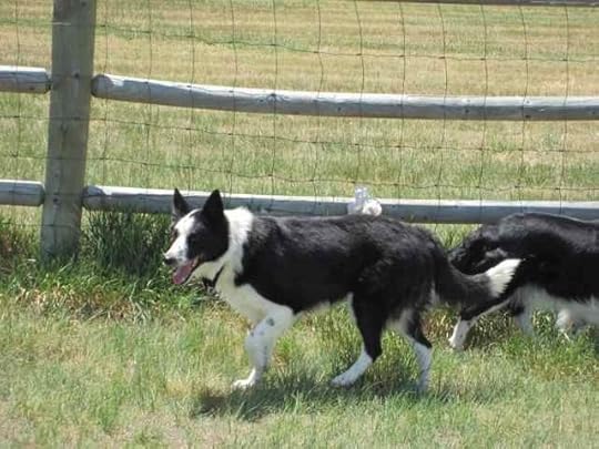 04a-Ceilidh-Jak_1826