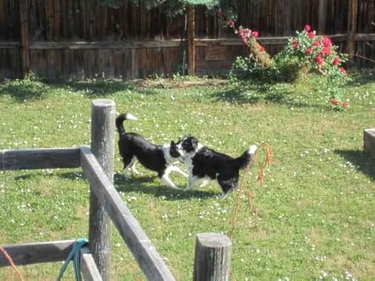 04b-Ceilidh-Jak_1891