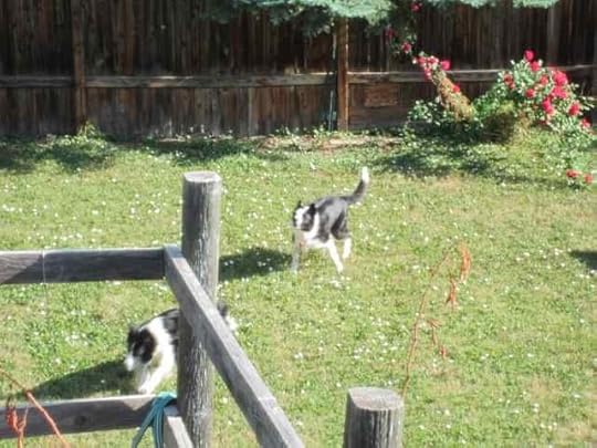 04c-Ceilidh-Jak_1892