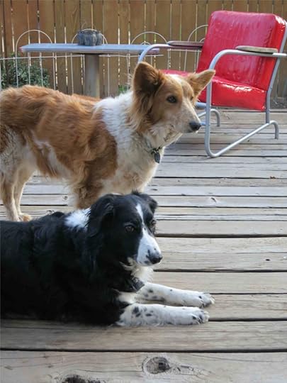 12-Ceilidh-Maisie_0036