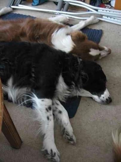 14-Ceilidh-Skid_8737