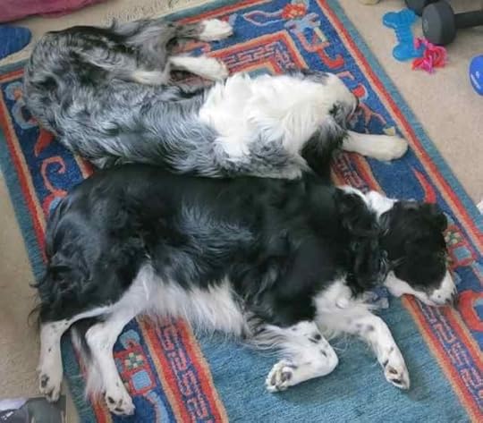 17-Ceilidh-Tam_1338 - Version 2