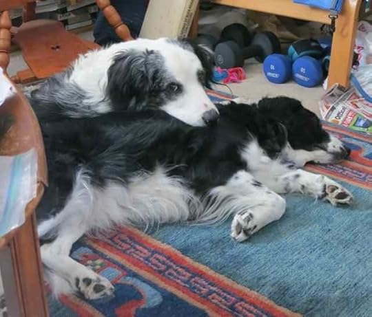 18-Ceilidh-Tam_1340 - Version 2