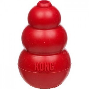 Kong dog toy