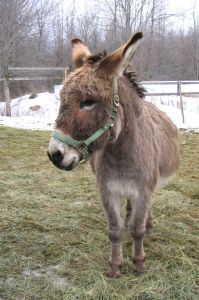 Click to visit the original post