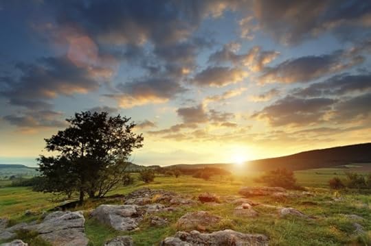 How to Become a Morning Person