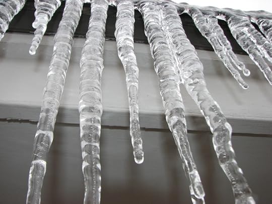 Ice storm, Dec 21, 2013