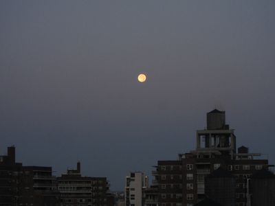 IMG_4224