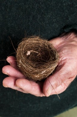 Birds nest in old mans hands