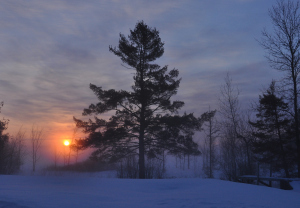 copyright Ellen Hrkach