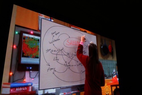 Big Bang Theory Friendship Web