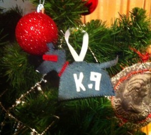 photo(20)