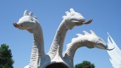 Photo of hydra by Mykl Roventine