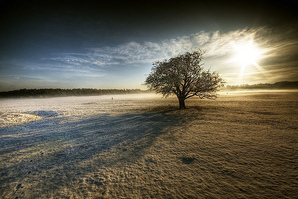 Irish Winter Sun