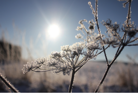Winter Solstice Ireland