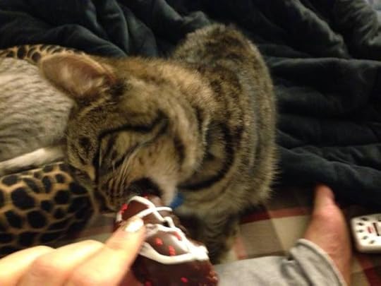 1506162_10201141765488371_1779465934_o