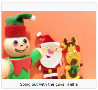 anne wheaton's elfie