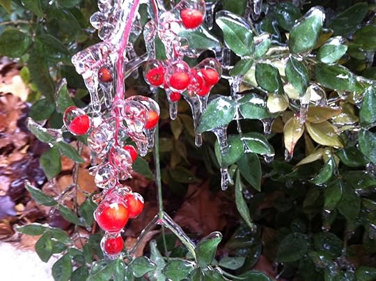 A little red and green for your Christmas