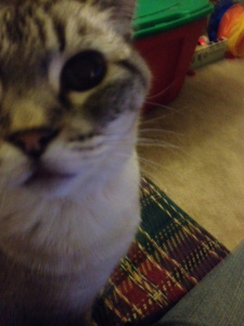 Mom. Mom. Mommee. MommE. I Help with blogge today? A litle bit?