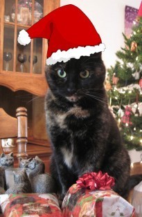Ruby letter to Santa