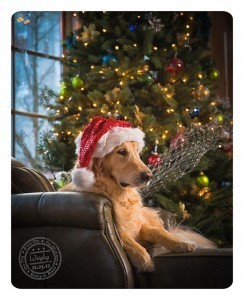 christmas3