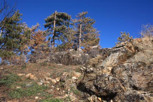 laguna_solstice_12-21-2013_0038
