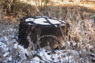 laguna_solstice_12-21-2013_0015