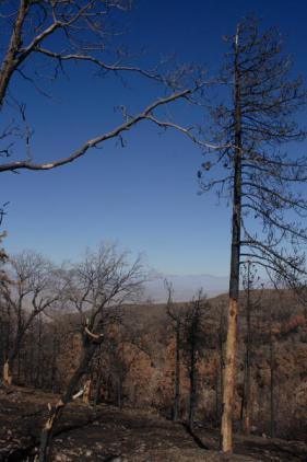 laguna_solstice_12-21-2013_0024