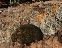 laguna_solstice_12-21-2013_0005