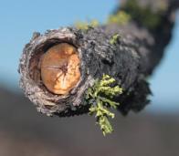 laguna_solstice_12-21-2013_0004