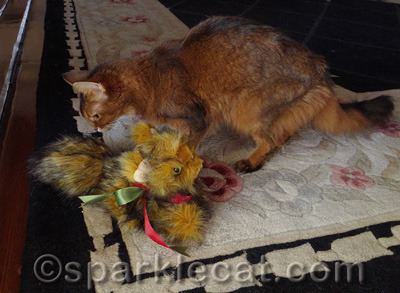 Hey, I'm a cat - I'm allowed to sniff butts