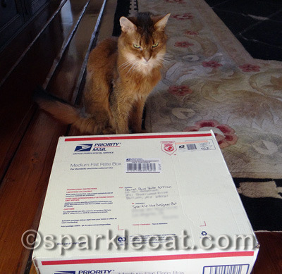 I love the Secret Paws gift exchange