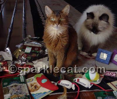 There were almost smacky paws over the catnip toys