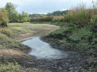 clip_image001