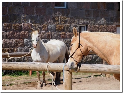 7 May 3 07-05-2013 11-27-55 4032x3024