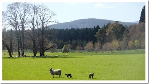 7 May 5 07-05-2013 09-49-05 4014x2209