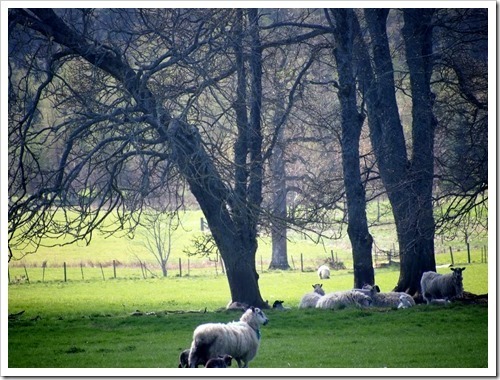 7 May 5 07-05-2013 09-50-08 4032x3024