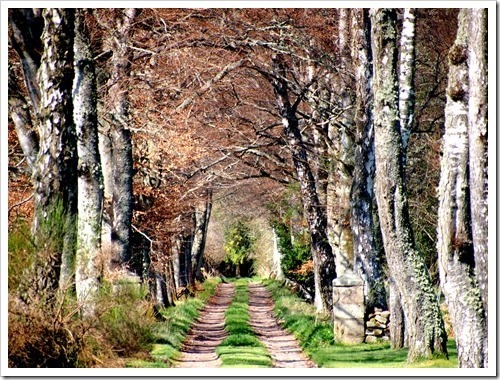 7 May 5 07-05-2013 09-45-56 4032x3024